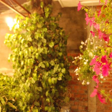 Winna Airport Hostel Дананг Екстер'єр фото